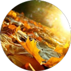 Profile photo of Dawn Lundberg