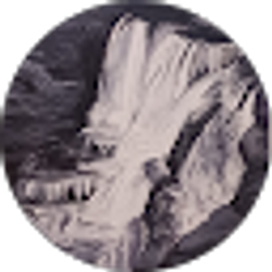 Profile photo of Jeremy Morales