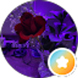 Profile photo of G s