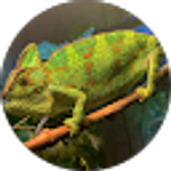 Profile photo of Jordan Riley