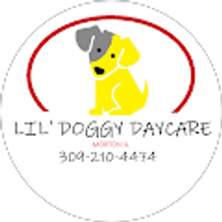 Profile photo of Kevin Kouri