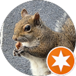 Profile photo of Dawn Gilliland