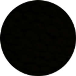 Profile photo of Coy