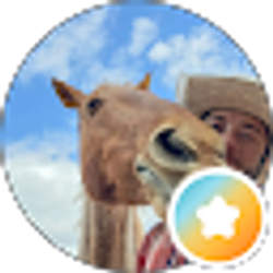 Profile photo of Wesley Walko