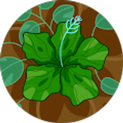 Profile photo of Sara Bobb