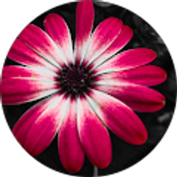 Profile photo of Rebeckah Hall