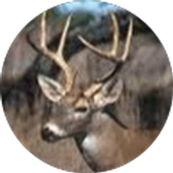 Profile photo of Jamie Seabolt