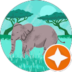 Profile photo of Stef