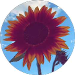 Profile photo of Marisela Perez