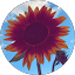 Profile photo of Marisela Perez