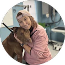 Profile photo of Haley Shultz