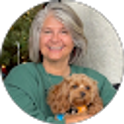 Profile photo of Demi Hinsenkamp