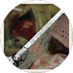 Profile photo of melissa perez