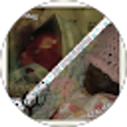 Profile photo of melissa perez