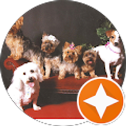 Profile photo of Brenda Rash