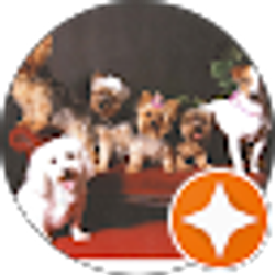 Profile photo of Brenda Rash