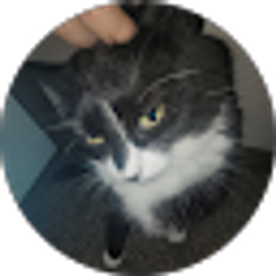 Profile photo of Cadence Schaaf