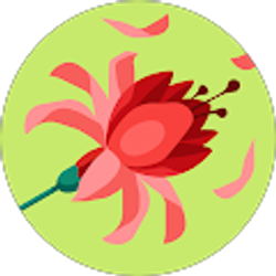 Profile photo of Kimberly McCombs