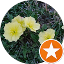 Profile photo of B B