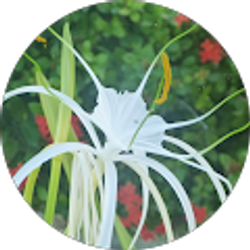 Profile photo of Heidi Friese