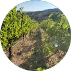 Profile photo of Tyler DeVaney