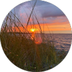 Profile photo of Steve Marion