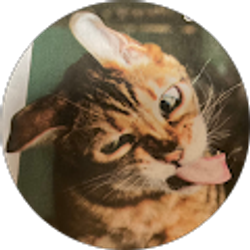 Profile photo of Roxane Stewart