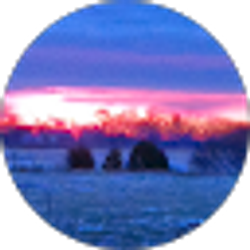 Profile photo of Tim Purcey