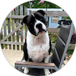 Profile photo of Tina Thomas