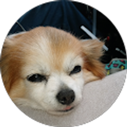 Profile photo of Donna Davis