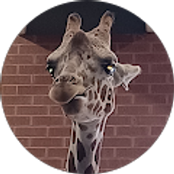 Profile photo of Hector Gonzalez