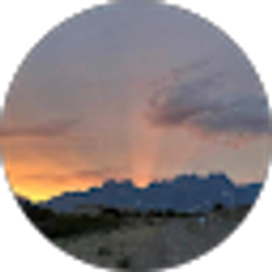Profile photo of S