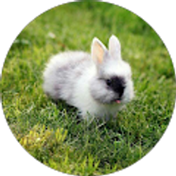 Profile photo of Jazmin Ramos