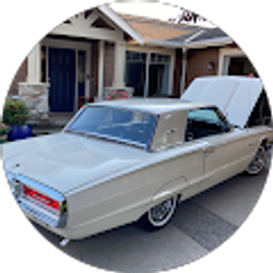 Profile photo of Dale Delmage