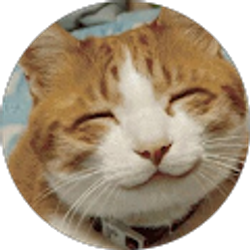 Profile photo of Kiana Liang