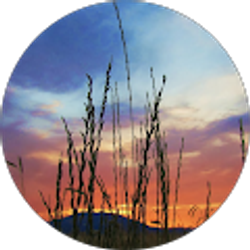 Profile photo of Perry B.