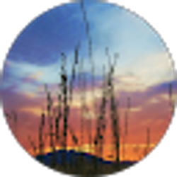 Profile photo of Perry B.