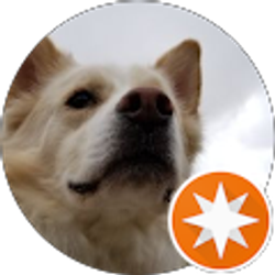 Profile photo of Angie