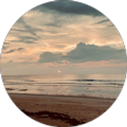 Profile photo of Jodie Little