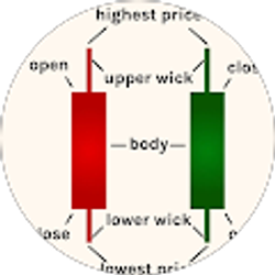 Profile photo of S Morakinyo