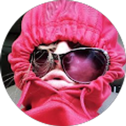 Profile photo of Katie Whitney