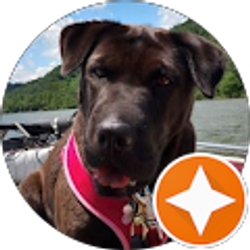 Profile photo of jodi patton