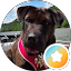 Profile photo of jodi patton
