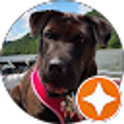 Profile photo of jodi patton