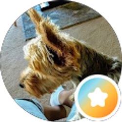 Profile photo of Lillian Velazquez