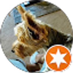 Profile photo of Lillian Velazquez