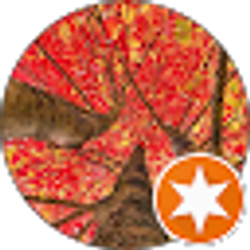 Profile photo of M M