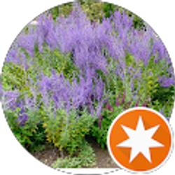 Profile photo of Joseph Choi