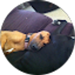 Profile photo of C. P.