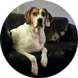 Profile photo of sarah scott